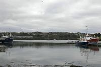 Cjp_2017-04-17_075208.jpg