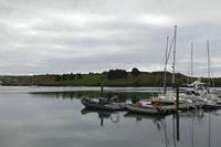 Cjp_2017-04-17_075940.jpg