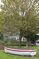 Cjp_2017-04-17_080016.jpg