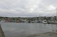 Cjp_2017-04-17_080114.jpg