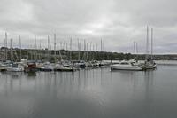 Cjp_2017-04-17_080332.jpg