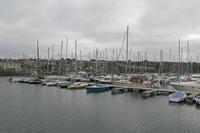 Cjp_2017-04-17_080458.jpg