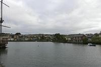 Cjp_2017-04-17_080616.jpg