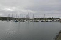 Cjp_2017-04-17_080628.jpg