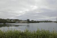 Cjp_2017-04-17_081520.jpg