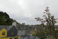 Cjp_2017-04-17_082344.jpg