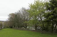 Cjp_2017-04-17_083152.jpg