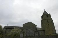 Cjp_2017-04-17_084800.jpg