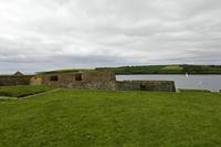 Cjp_2017-04-17_101950.jpg