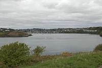 Cjp_2017-04-17_102102.jpg