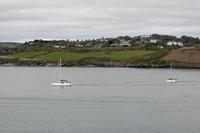 Cjp_2017-04-17_102150.jpg