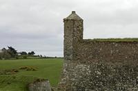 Cjp_2017-04-17_102602.jpg