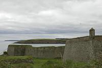 Cjp_2017-04-17_123310.jpg