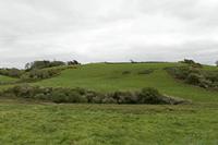 Cjp_2017-04-17_123538.jpg