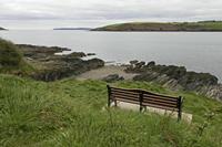 Cjp_2017-04-17_124046.jpg
