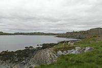 Cjp_2017-04-17_124210.jpg