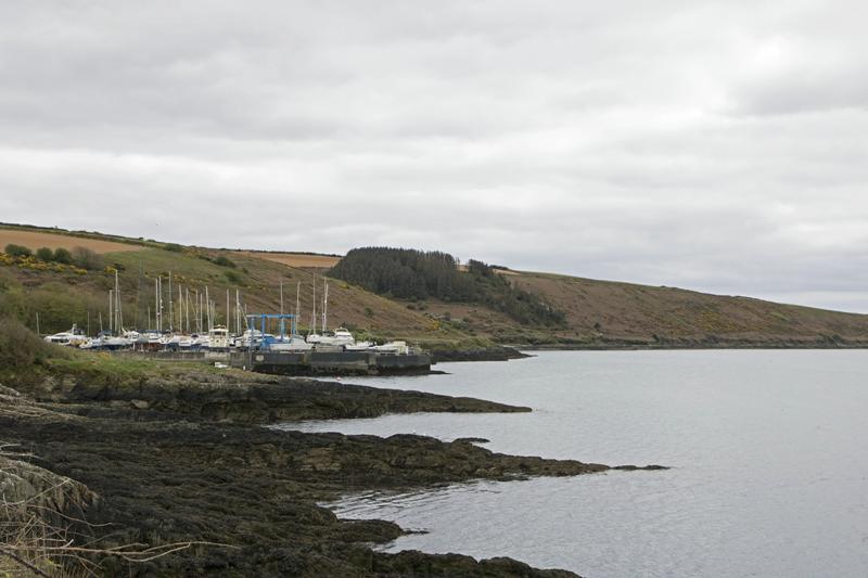 Cjp_2017-04-17_124756.jpg