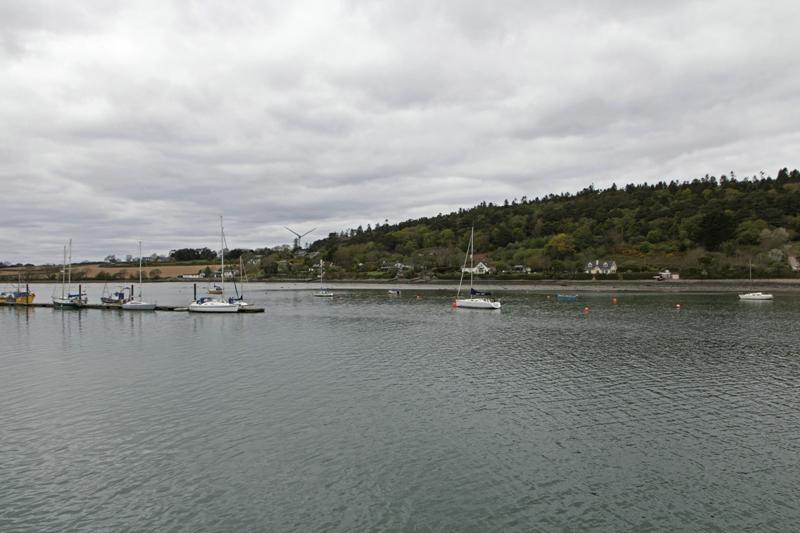 Cjp_2017-04-17_142240.jpg