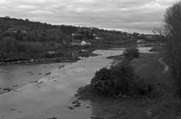 Cjp_2017-04-17_183202_NB.jpg