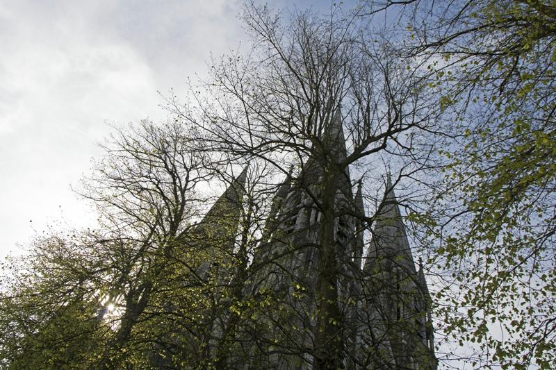 Cjp_2017-04-18_083254.jpg