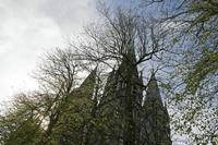 Cjp_2017-04-18_083254.jpg