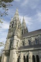 Cjp_2017-04-18_083556.jpg