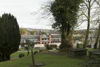 Cjp_2017-04-18_083748.jpg