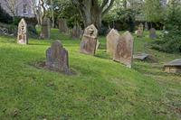 Cjp_2017-04-18_083826.jpg