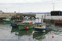 Cjp_2017-04-18_125434.jpg