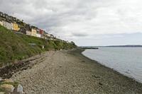 Cjp_2017-04-18_130552.jpg