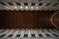 Cjp_2017-04-18_132819.jpg