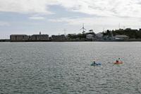 Cjp_2017-04-18_140214.jpg