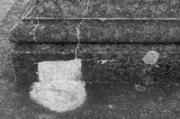 Cjp_2017-04-18_175144_NB.jpg