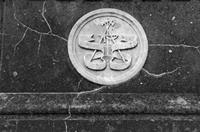 Cjp_2017-04-18_175158_NB.jpg