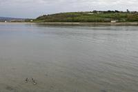 Cjp_2017-04-18_175734.jpg