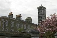 Cjp_2017-04-18_180346.jpg