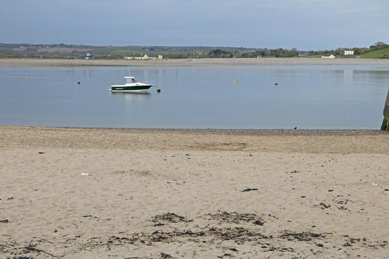 Cjp_2017-04-18_181626.jpg