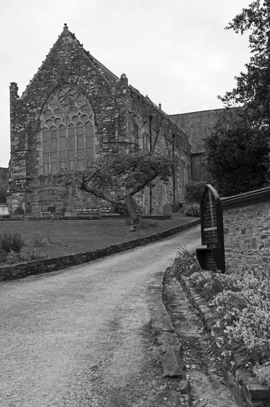 Cjp_2017-04-18_185312_NB.jpg