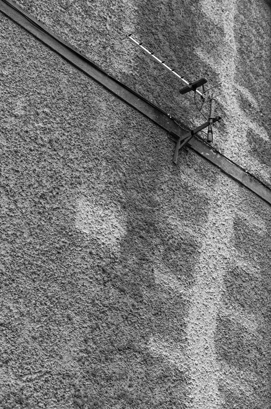 Cjp_2017-04-18_190702_NB.jpg