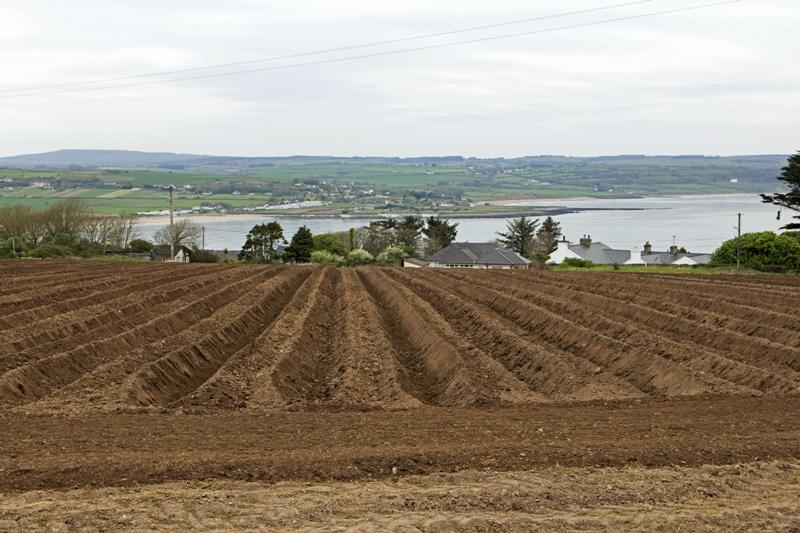 Cjp_2017-04-19_071056.jpg
