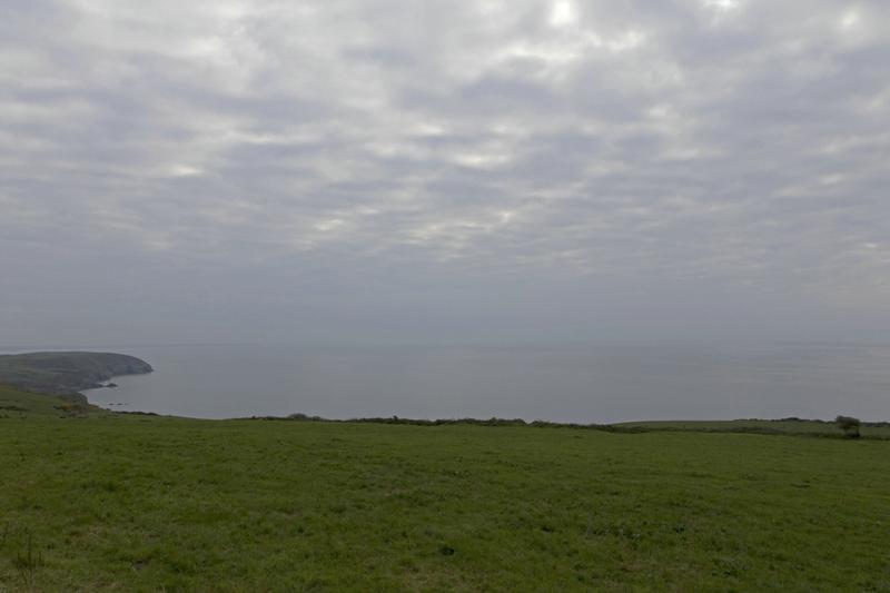 Cjp_2017-04-19_080310.jpg