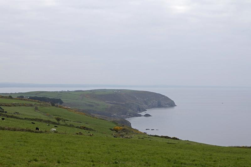 Cjp_2017-04-19_080314.jpg