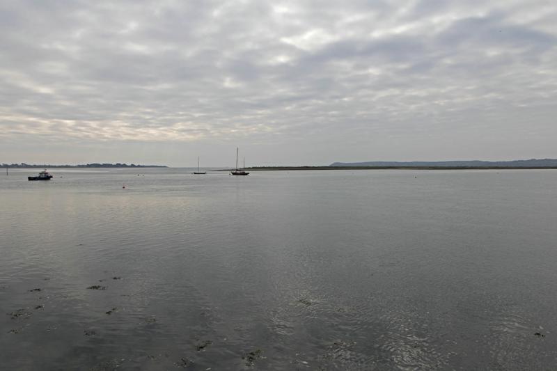 Cjp_2017-04-19_085208.jpg