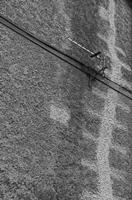 Cjp_2017-04-18_190648_NB.jpg
