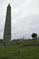 Cjp_2017-04-19_065150.jpg