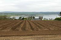 Cjp_2017-04-19_071056.jpg