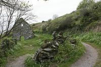 Cjp_2017-04-19_072226.jpg