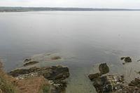 Cjp_2017-04-19_072410.jpg