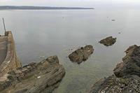 Cjp_2017-04-19_073118.jpg