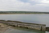 Cjp_2017-04-19_073308.jpg